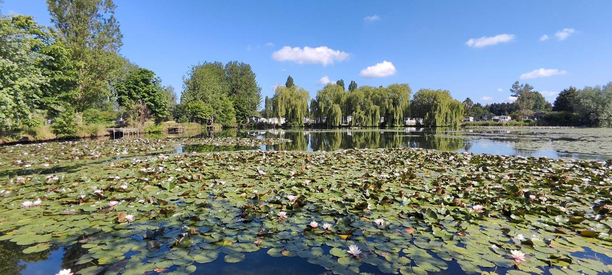 Billing Aquadrome Northampton, Royale Poplar Km12 Apartment Bagian luar foto